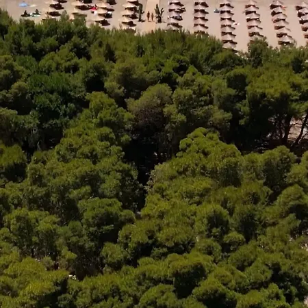 Luksusowy namiot Relax Camping