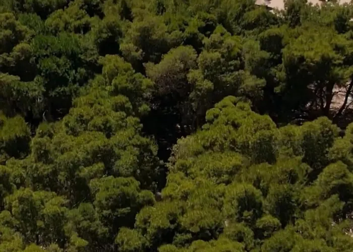 Campo de lujo Relax Camping